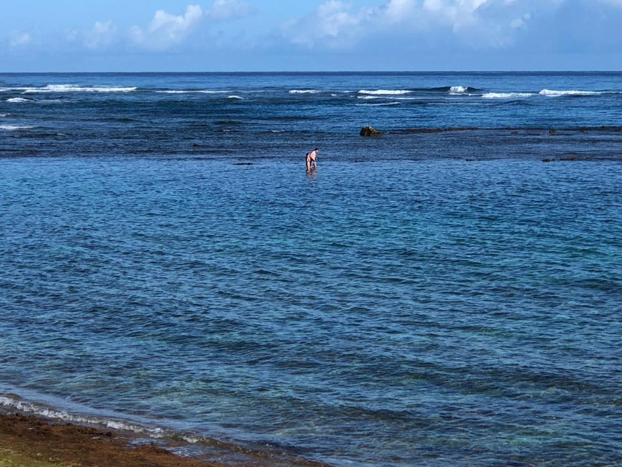 Waialua Mokule'Ia Beach Houses At Owen'S Retreat מראה חיצוני תמונה